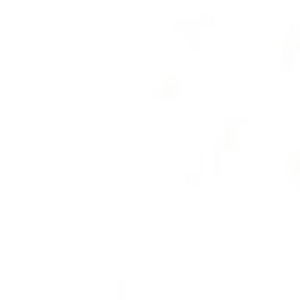 Meet your Posher, Gali